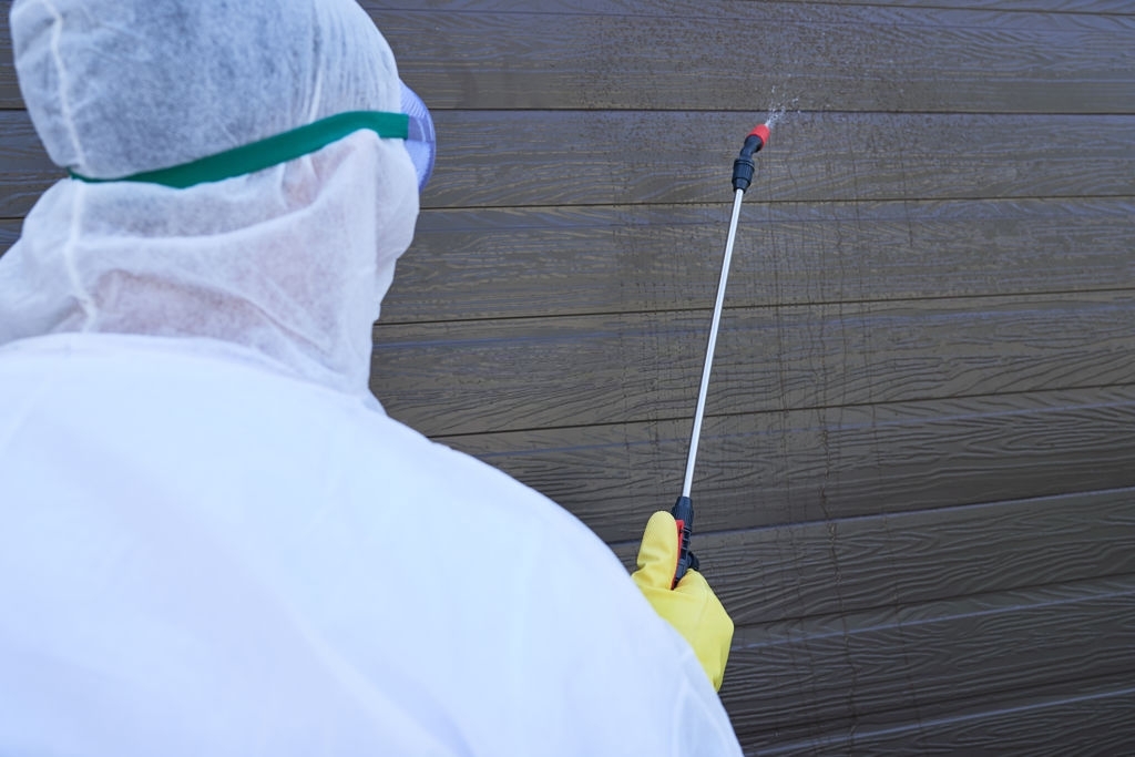 How Much is a Pressure Washer