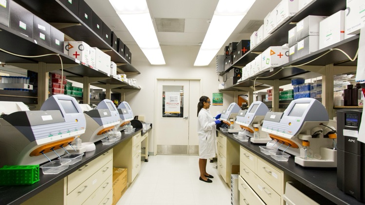 How to Compare Citicoline Suppliers for B2B Ingredient Sourcing